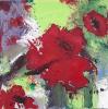 Pavot 30x30 Test alt